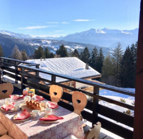Magnifique Chalet avec vue